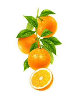  Oranges 